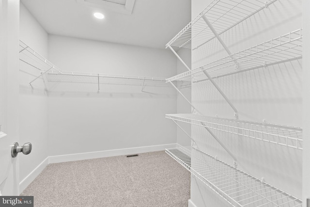 spacious closet with carpet