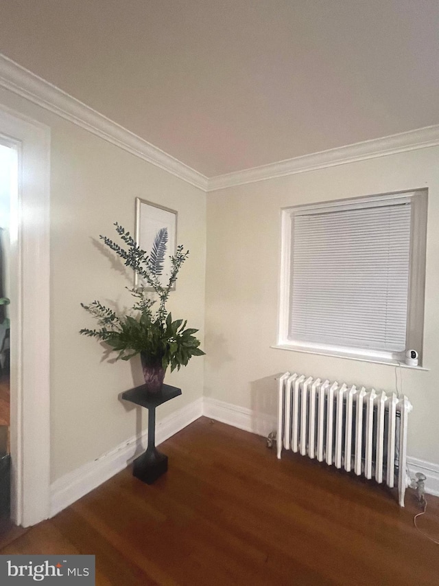 hallway with crown molding, radiator, and dark wood-type flooring