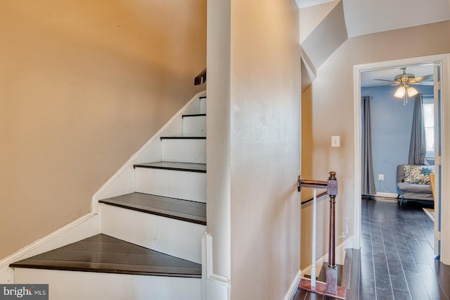 staircase featuring hardwood / wood-style floors and ceiling fan