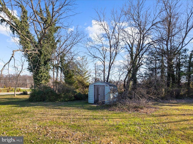 view of yard with a storage unit