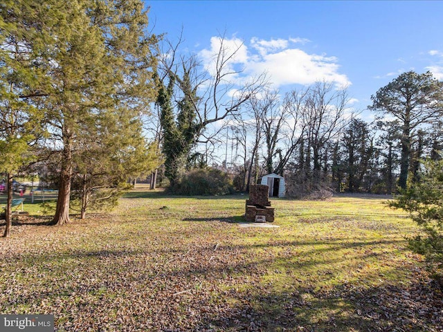 view of yard with a shed