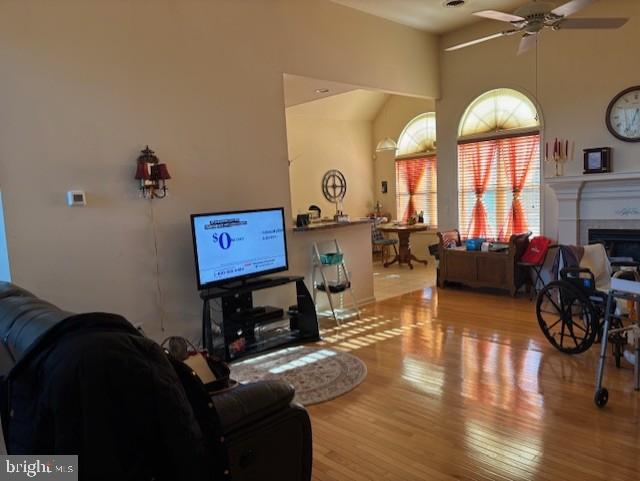 living room featuring light wood-type flooring, vaulted ceiling, and ceiling fan