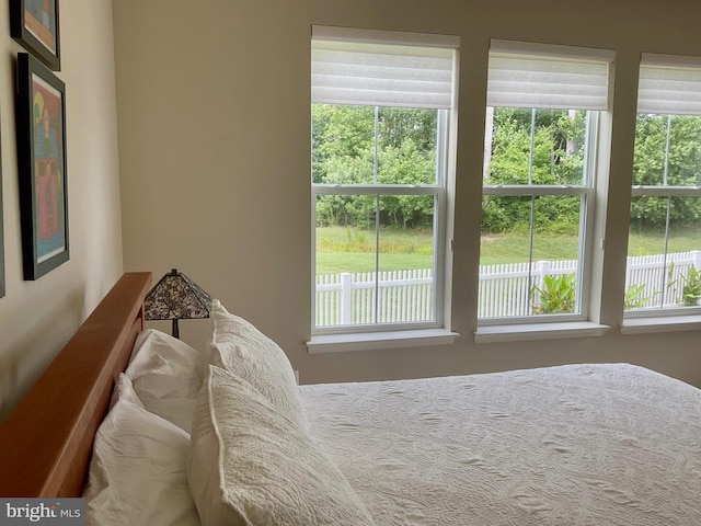 bedroom with multiple windows