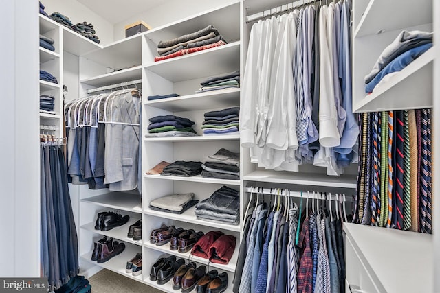 spacious closet with carpet