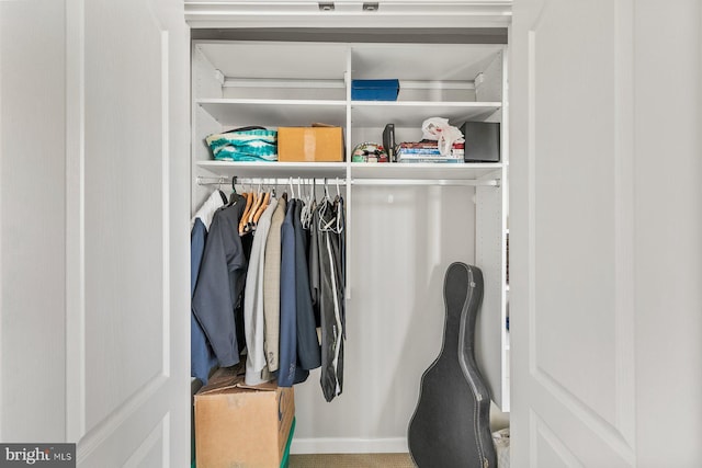 view of closet