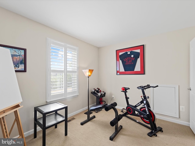 exercise area featuring carpet floors