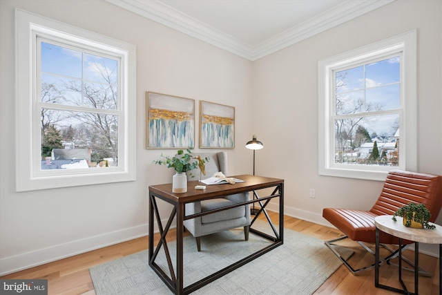 office with ornamental molding, a healthy amount of sunlight, and light hardwood / wood-style flooring