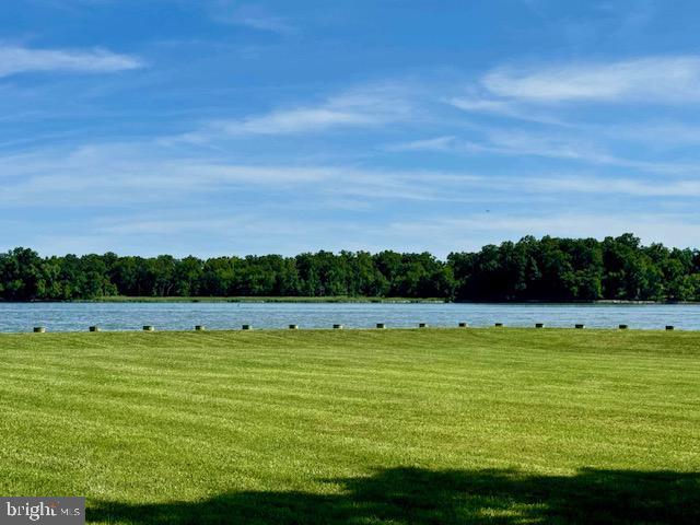 view of yard with a water view