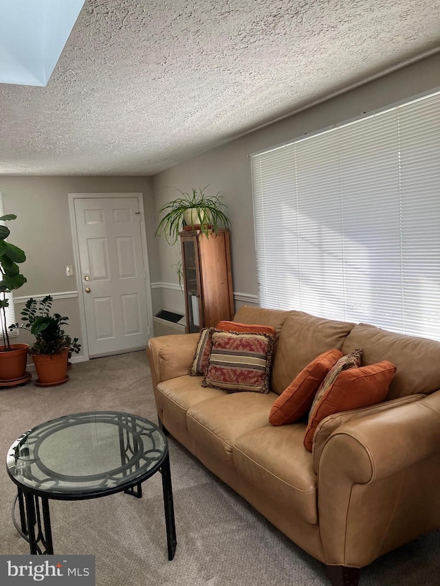 carpeted living room featuring a textured ceiling