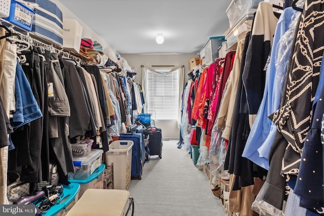 walk in closet with light carpet