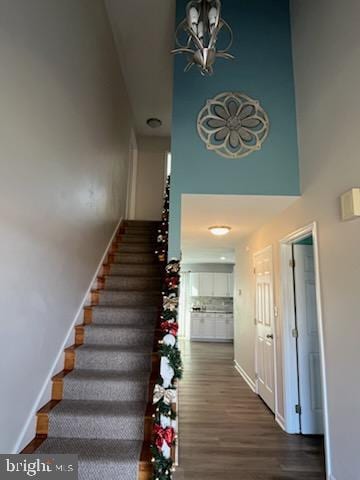 stairs featuring a towering ceiling and hardwood / wood-style flooring