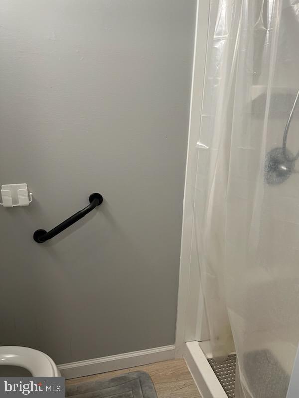 bathroom featuring wood-type flooring and a shower with shower curtain