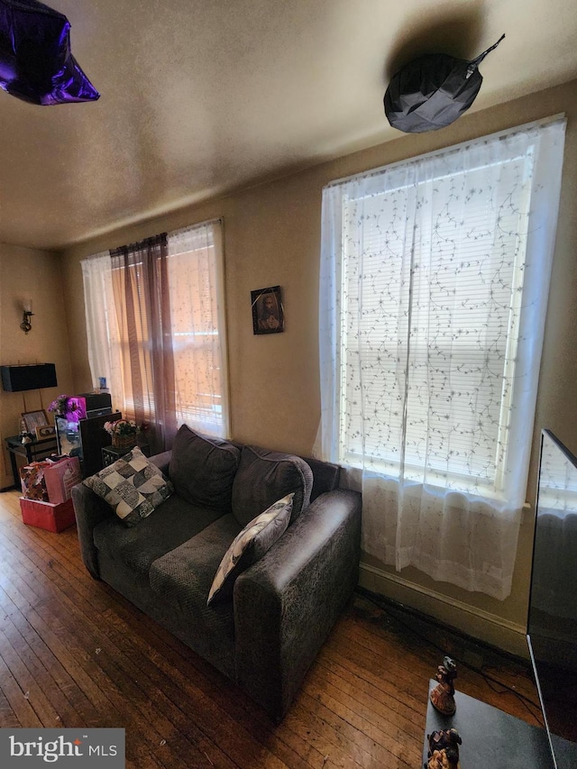 living room featuring hardwood / wood-style flooring