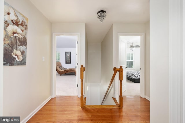 hall featuring light wood-type flooring