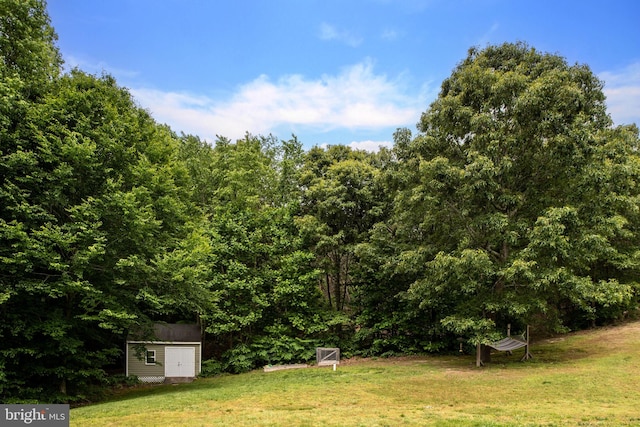 view of yard with a storage unit