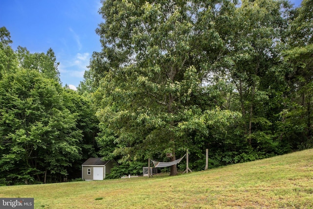 view of yard featuring a storage unit