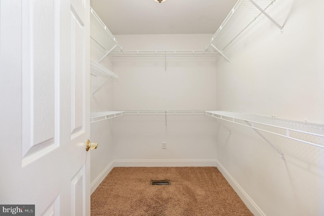 spacious closet featuring carpet