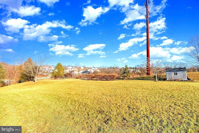 view of yard with a shed