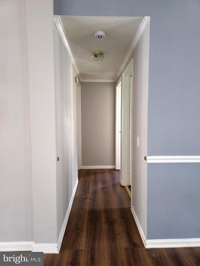 hallway featuring crown molding and dark hardwood / wood-style flooring