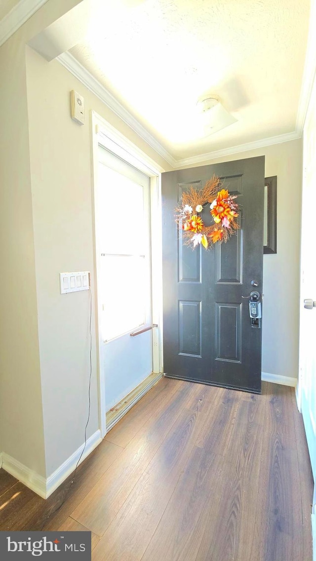 foyer featuring dark hardwood / wood-style floors and crown molding