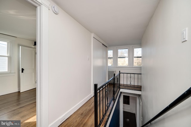 stairs featuring hardwood / wood-style floors and radiator