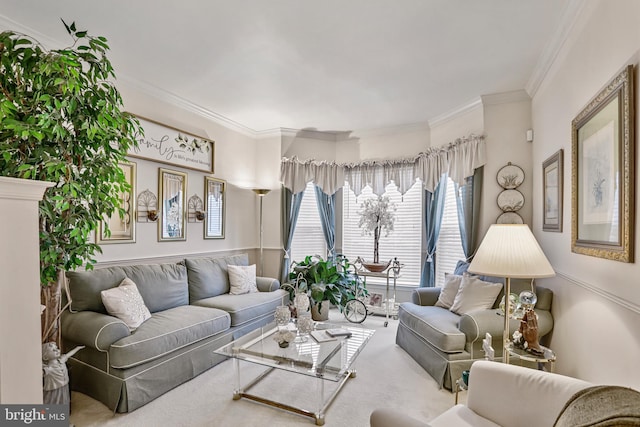 carpeted living room with ornamental molding