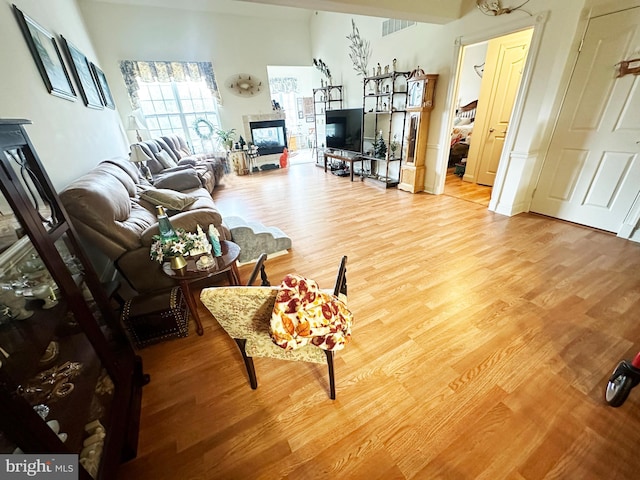 living room featuring wood-type flooring