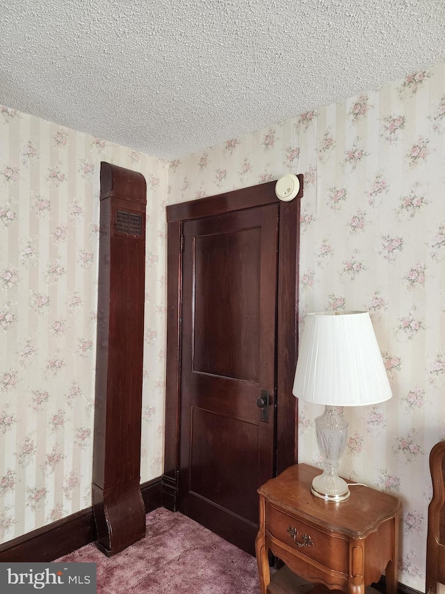 interior space featuring carpet and a textured ceiling