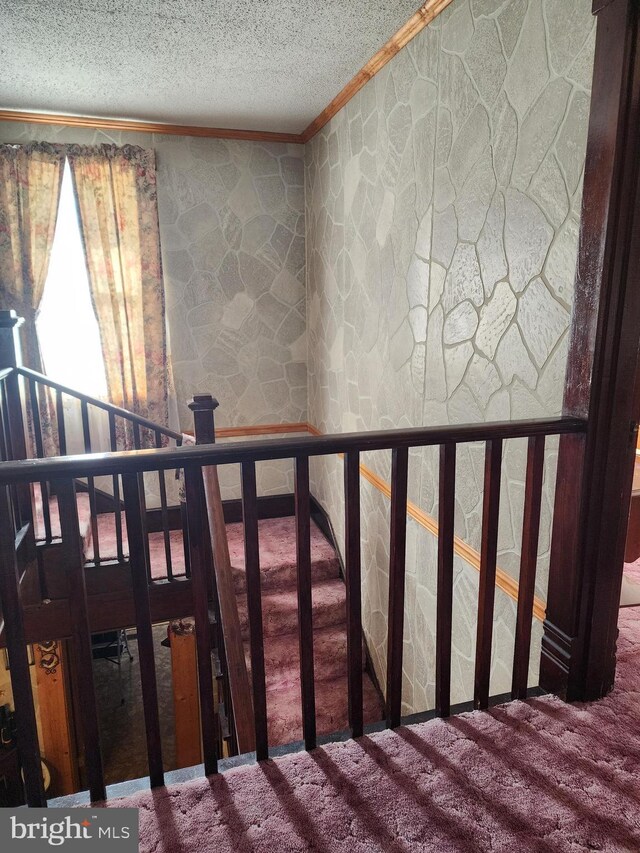 stairs featuring carpet flooring, a textured ceiling, and ornamental molding