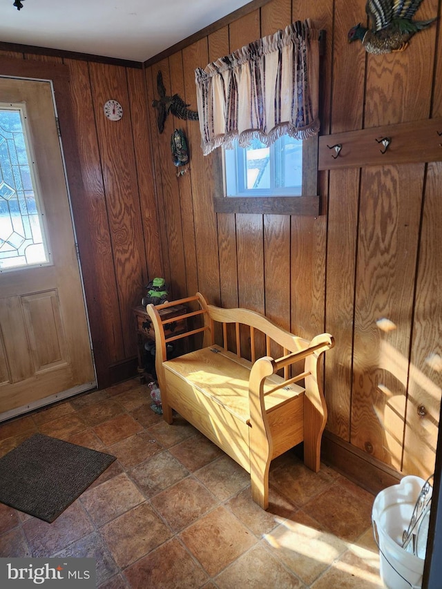 living area featuring wooden walls