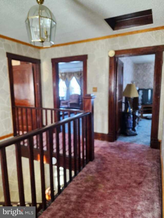 hallway with carpet, a chandelier, and ornamental molding