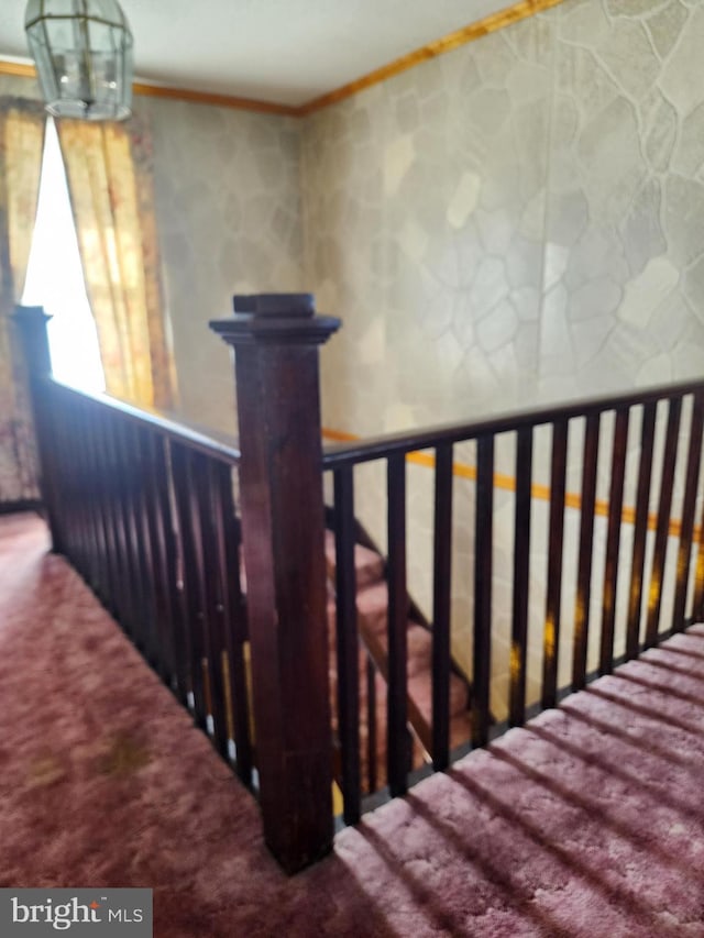 stairs featuring crown molding and carpet