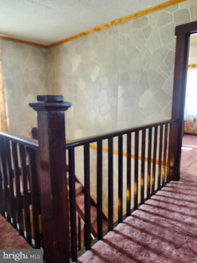 stairway featuring carpet floors and ornamental molding