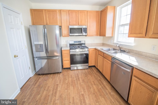 kitchen with sink, stainless steel appliances, and light wood-type flooring