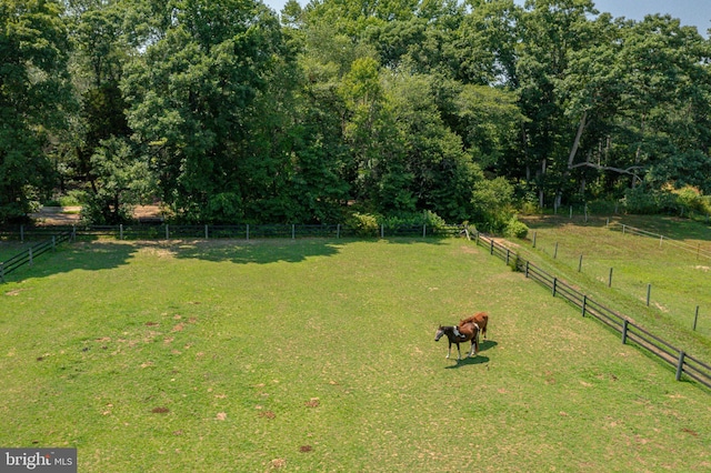 view of yard featuring a rural view