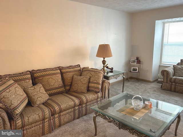 living room with carpet and a textured ceiling