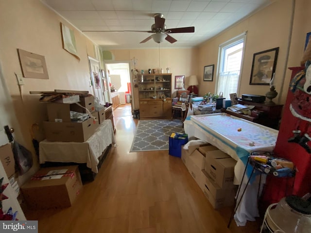 miscellaneous room featuring ceiling fan, crown molding, and light hardwood / wood-style flooring