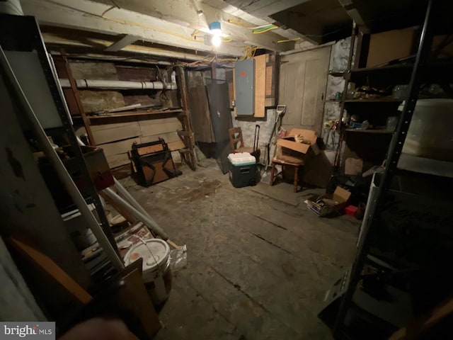 basement featuring electric panel