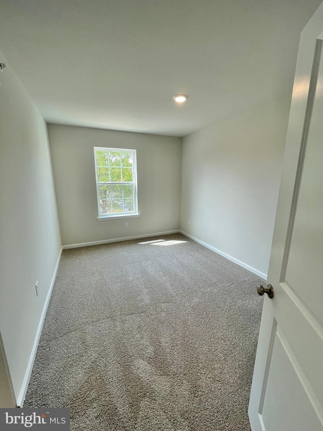 spare room featuring carpet floors