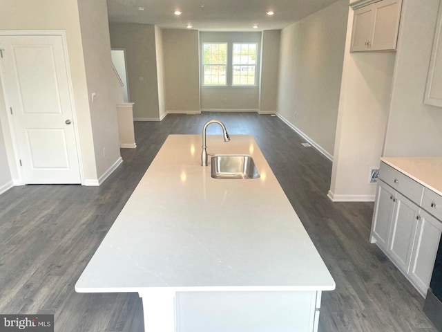 kitchen featuring dark hardwood / wood-style floors, a kitchen island with sink, and sink