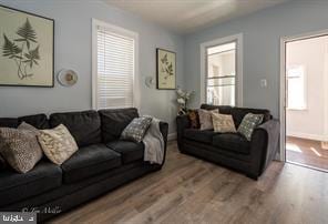 living room with hardwood / wood-style flooring