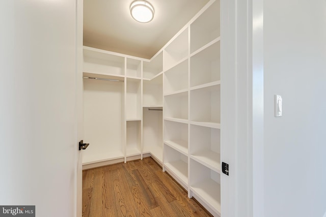 walk in closet featuring wood-type flooring