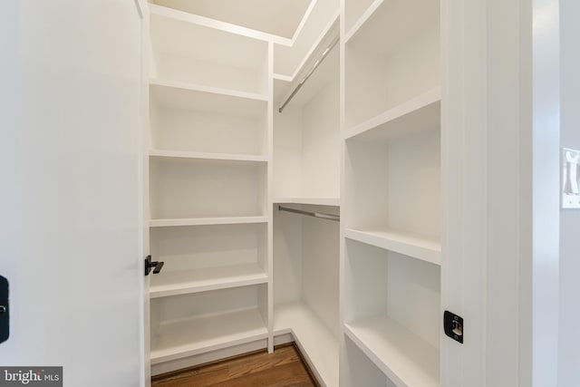 spacious closet featuring wood-type flooring