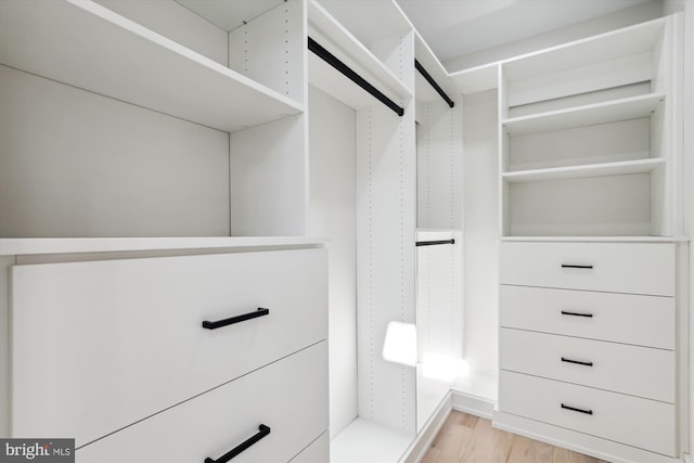 spacious closet featuring light hardwood / wood-style floors