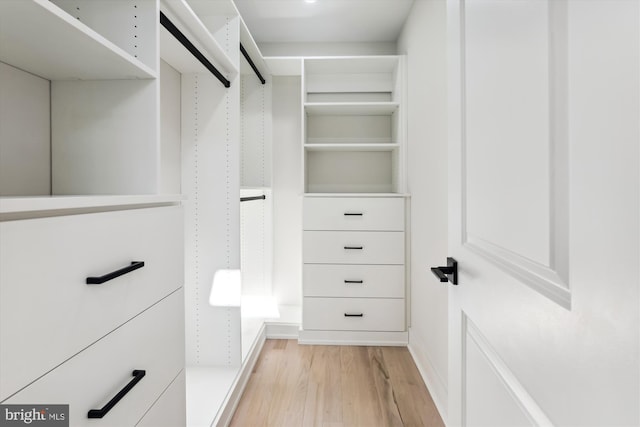 spacious closet featuring light hardwood / wood-style floors