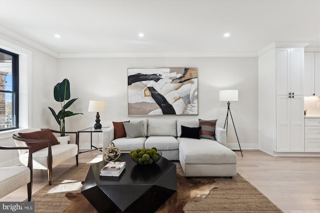 living room with crown molding and light hardwood / wood-style flooring