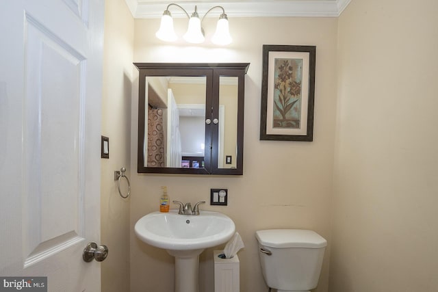 bathroom featuring toilet and ornamental molding