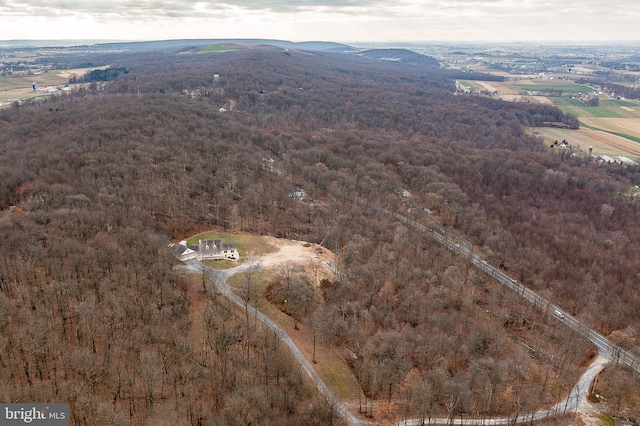 bird's eye view featuring a mountain view and a rural view