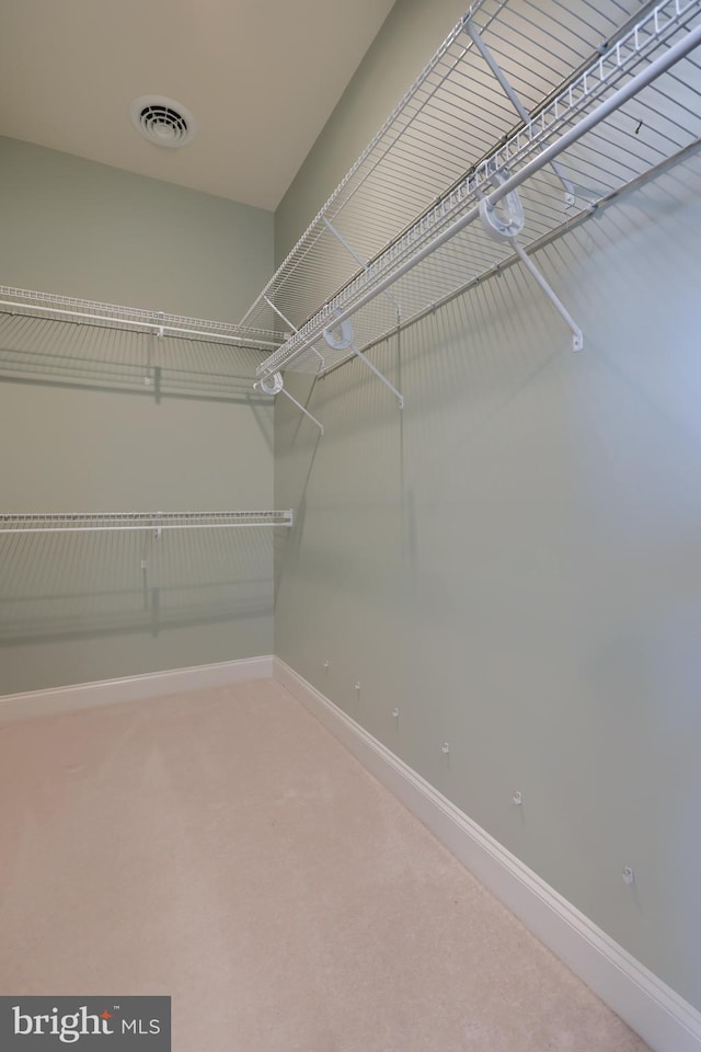 spacious closet featuring carpet flooring