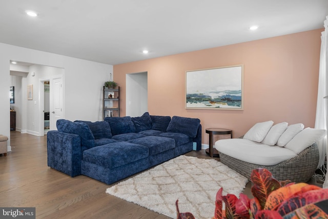 living room featuring wood-type flooring